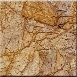 Forest Brown Gold