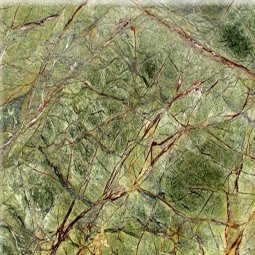 Forest Brown Green
